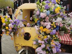 -天津五大道文化旅游区