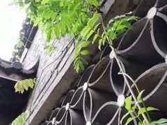 -龙寺生态园