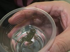 -三亚亚龙湾五号度假别墅酒店
