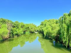 -同里国家湿地公园