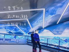 -Hopo Snow 城市滑雪空间(滨江宝龙城店)