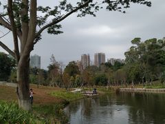 -中山市树木园