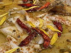 -渔语鱼新川菜Bistro(万象天地店)
