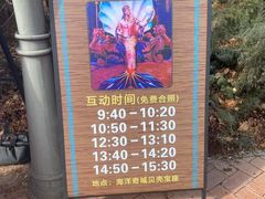 -哈尔滨波塞冬海底世界