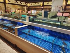 -渔人码头(中南店)