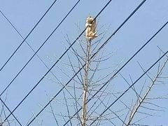 -比尔斯健康烤肉自助餐厅