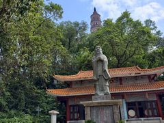 -顺峰山公园
