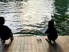 -晓港公园