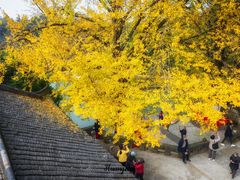 -佛荫寺