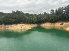 -广州市流溪河国家森林公园