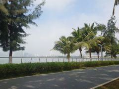 -万绿园