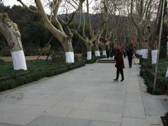 -杭州黄龙洞