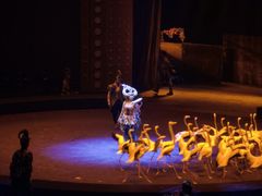 -珠海横琴长隆《卡卡虎奇遇记》