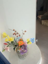 -星光兔·西扶海棠·写真馆(景德镇店)