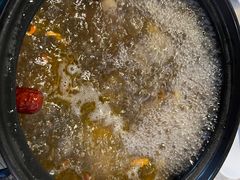 -蘑统田下·野生菌火锅