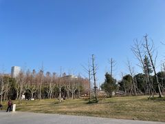 -上海山野camping·户外天幕烧烤·团建拓展营地