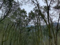 -明月山风景名胜区