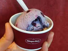 -哈根达斯(绍兴银泰店)