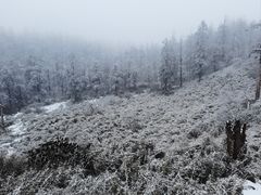 -瓦屋山景区