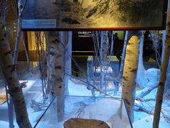 -中国人民抗日战争纪念馆