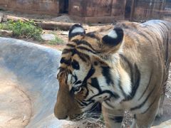 -昆明动物园