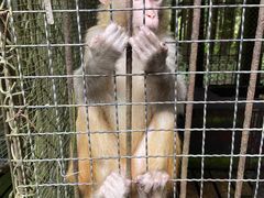 -武陵山森林公园