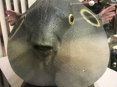 -肆月河豚·新淮扬(金融街店)