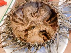 -海胆小馆(东北水饺·春柳店)