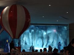 -帝企鹅自助餐厅•儿童岛•真企鹅(长隆企鹅酒店)