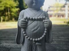 -武陵山森林公园