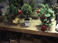 -D STAR COFFEE帝星咖啡