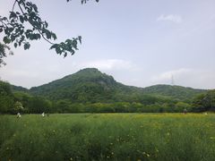 -八卦田遗址公园