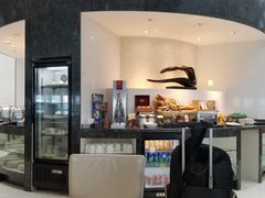 -虹桥机场国航贵宾室v8