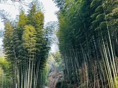 -蜀南竹海景区