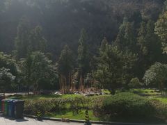 -白云源风景区