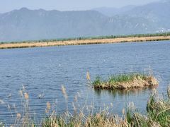 -野鸭湖国家湿地公园
