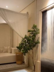 -奥斯芬欧系贵族SPA