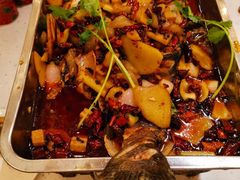 -沈姐万州烤鱼(沙坪坝七中店)