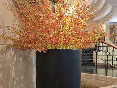 -苏浙汇(肇嘉浜路总店)