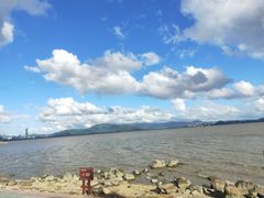 -深圳湾公园(南山区)
