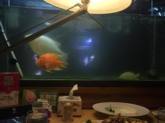 -爱德堡西餐咖啡吧(北师大店)