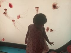 -沈阳海洋探索中心