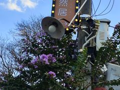 -天然居(伦教店)