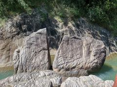 -广州白江湖森林公园