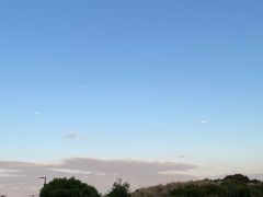 -企鹅岛