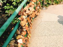 景点-信号山公园