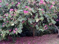 -明珠海港大酒店