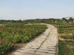 -廊坊文化艺术中心