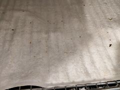-魏家凉皮(来广营店)