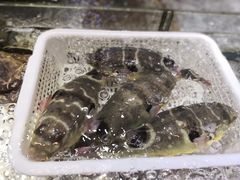 -骏莱海鲜鱼港(五角场店)